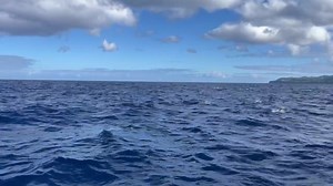 🔴 LIVE NOW Come on a whale watching tour along the stunning Sao Miguel coast in the Azores Ocean, happening now! Grab your virtual front-row seat and share the joy with friends and family. Let's celebrate the wonders of our oceans together! 🌊🐬 🎥 Laia Valor #Dolphins #LiveOceanExperience #SaoMiguelDolphins #Azores | Futurismo Whale Watching Azores