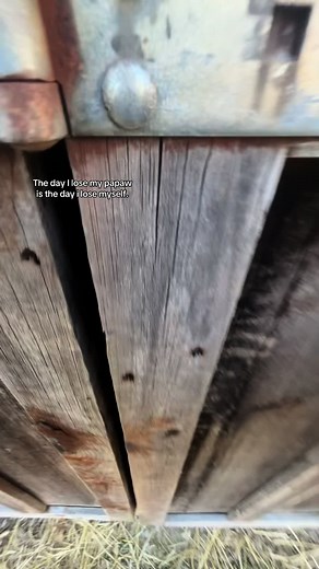 Hard watching the ole man slow down…#fypシ゚viral