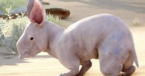 You can now play hours of Dragon Age: Inquisition for free on PC