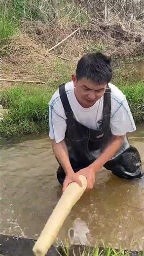 Welcome to the World of Village Farming Satisfying Luffa Cutting Cleaning Taseall