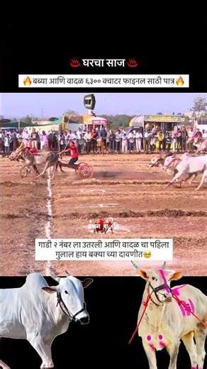 बब्या आणि वादळ ६३०० #bailgadasharyat #bakasur