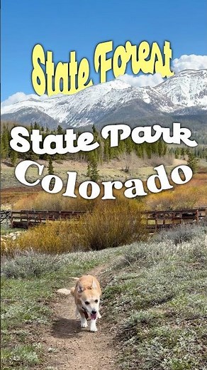 Incredible Hidden Gem Campground in North Colorado! State Forest State Park #camping #Hike #colorado