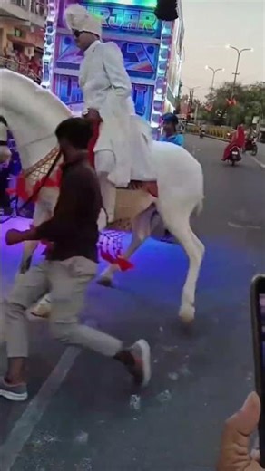 vip horse Vip dance #viral #dance #horse