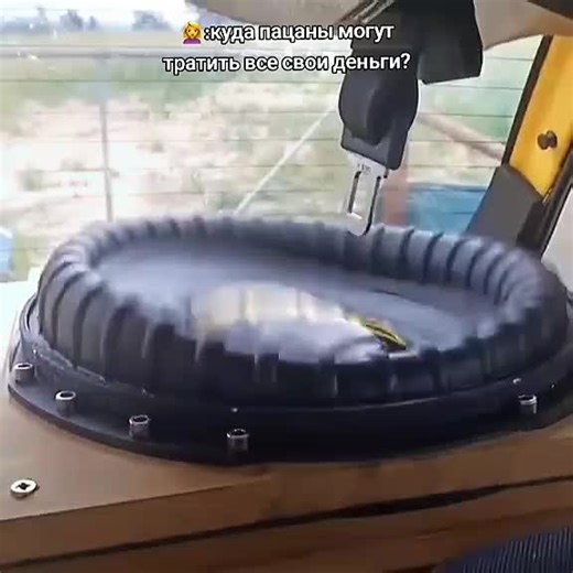 Идея вязл от популярного автозвукера