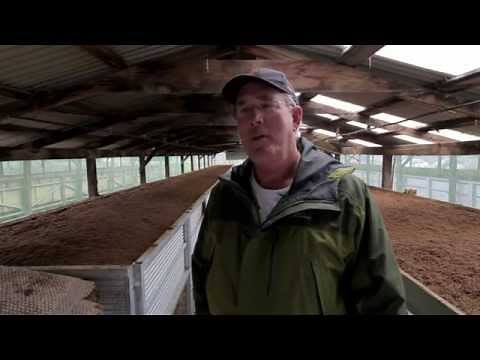 The Bohemian Life: Worm FarmerJack Chambers