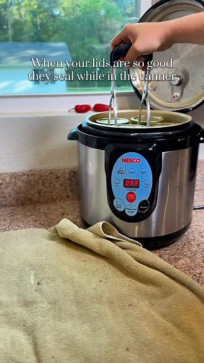 3.2K views · 1.3K reactions | It’s like trying to make the stars align catching the popping of these lids 凉 The superb ones are MUCH louder than any lid I’ve used previously but makes me feel like that indicates a strong seal! #canningfood #rebelcanning #homesteadlife #selfsufficiency #toxicfreeliving | My Basic Homestead | Facebook