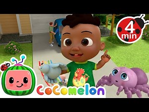 Cody and The Spider Song + More | CoComelon - Cody's Playtime | Songs for Kids & Nursery Rhymes