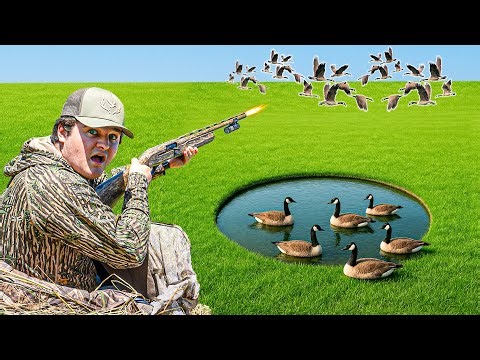 Goose Hunting An OVERPOPULATED Field! (GEESE EVERYWHERE)