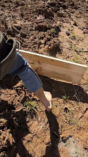 Flex framing nailer vs Milwaukee