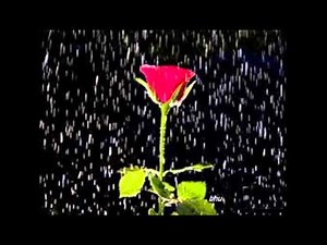 Etho Janma Bandham Ninnil Kandu NJan......