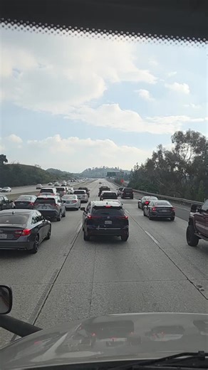 🩷TooFatToTranquilize🙂‍↕️🤭 (@bbcruzyoga)’s video of trees exploding from cold