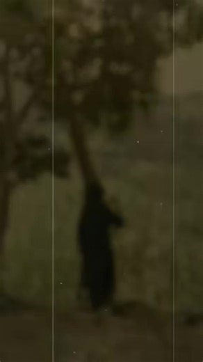 #duet with @k?🌷 #CapCut