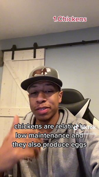 Beginner's Guide: Top 5 Livestock for Starting Your Farm