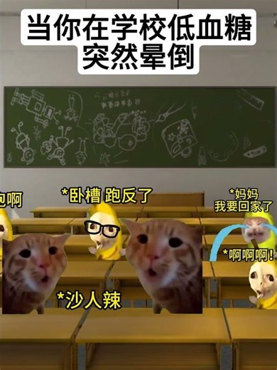 我在讲台上突然晕倒 #猫meme #搞笑 #真实还原