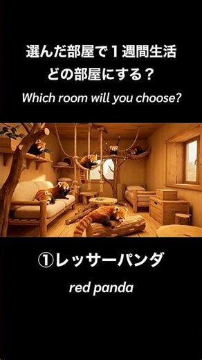 【ASMR】 🛏️ Which room would you choose to live in for a week?🌟