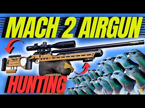 Mach 2 Airgun Hunting: FX Crown MK2 Hunting Expedition with new MPA chassis