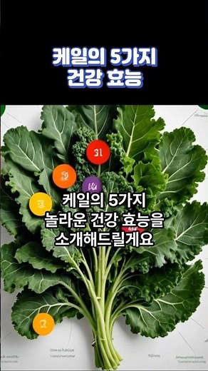 케일의 5가지 건강 효능