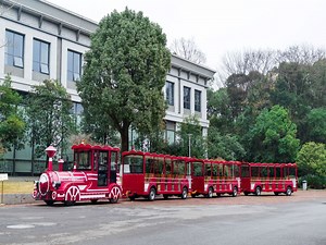 [Hot Item] Open and Enclosed Style 3 Carriages 74 Seats Trackless Electric Ride on Train