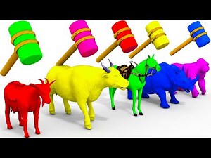 BELAJAR WARNA DENGAN HEWAN WARNA WARNI | HEWAN WARNA WARNI | VIDEO ANAK ANAK