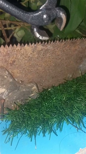 Saw Sharpening Techniques for Perfect Cuts"