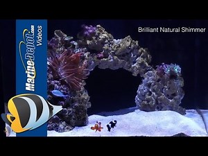 Kessil A160WE LED Aquarium Light - Product Overview