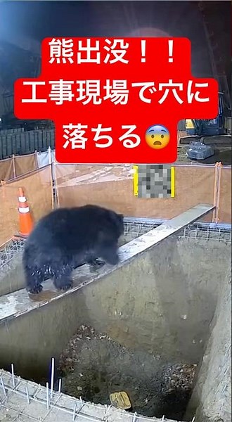 熊！衝撃映像 工事現場の穴に落ちる😨 #バズ動画 #まさかの光景