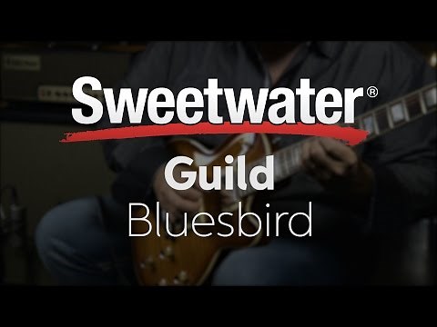 Guild Bluesbird Electric Guitar Review