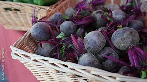 Locally grown beets are showcased during the agriculture festival in the UAE Stock Video
