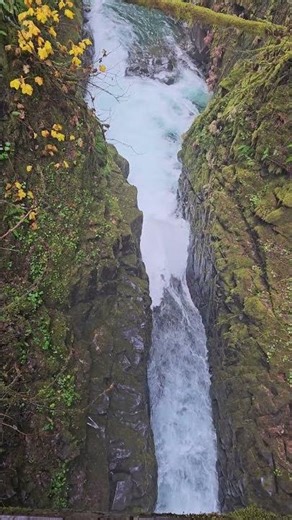 🌊 Sol Duc Falls Sound Bath: Nature’s White Noise Escape