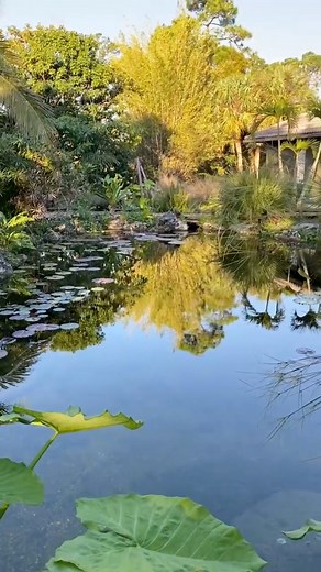 57K views · 647 reactions | Kamp Kenan Recreational Pond!!!#tropicalpond #fishpond #recpond | Ed The Pond Professor | Facebook