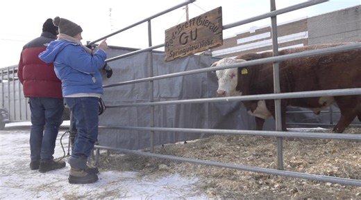 Valentine gearing up for busy, uniquely Western Valentine’s Day - Midplains NCN