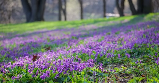 7 beautiful trails in Kansas that shine in spring
