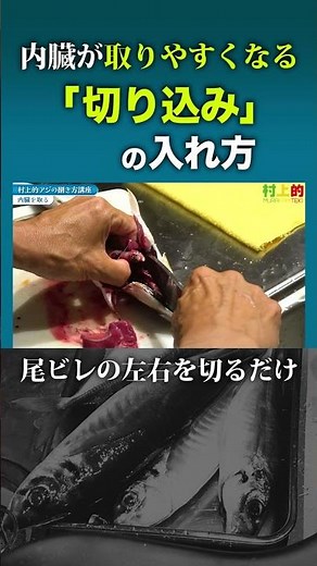 [How to fillet horse mackerel] How to make cuts that make it easier to remove the innards #Shorts...