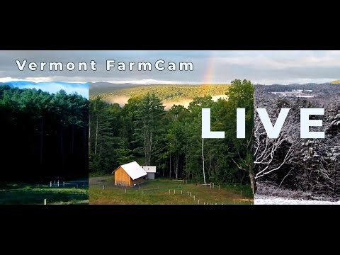 Lots of Snow in #Vermont