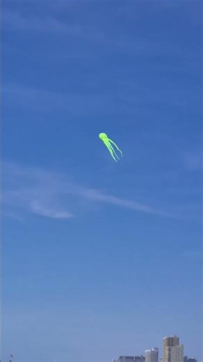 Awesome neon green octopus kite