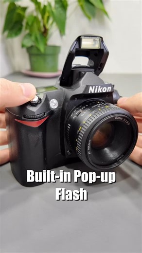 Shuttario on Instagram: "Every camera flash type in one video. #cameraflash #builtinflash #popupflash #fixedflash #externalflash"