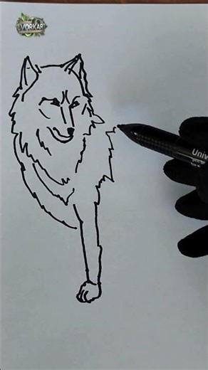 How to Draw a Cute Wolf 🐺 Easy Drawing Short