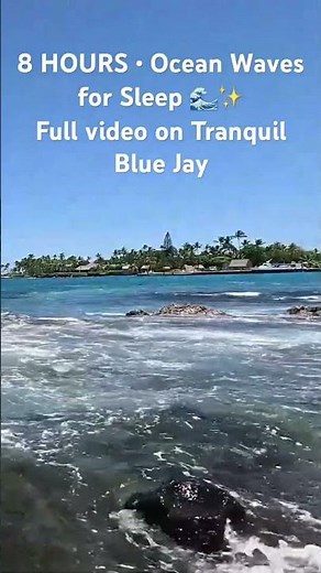 Ocean wave sounds for sleep 🌊 Full 8-hour video on Tranquil Blue Jay Nature Sounds