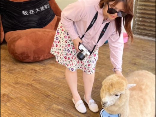 民事案件被告如何答辩