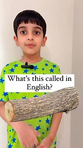 Parts of a tree || Log || Limb || Stump || Branch || Trunk || Twig ||#partsofatree #treevocabulary #learnenglishwithsharry #sharry #spokenenglish #ielts #englishonline #ingles | Learn English With Sharry