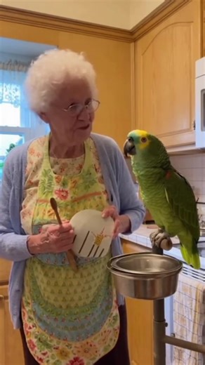 2.4K views · 60 reactions | Funnny bird , parrot make we laugh  #fypシ #talkingparrot #grandma #CockatooLife #parrots #cockatoo #viral #reel #ParrotComedy #FunnyPets #FamilyVibes #ViralBaby #CuteAnimals #ComedyShort #8KUltraRealistic #BabyAndDog #TalkingBird #ComedyShort #ViralShort #SmartParrot #ParrotDrama #ComedyClip #CuteAnimals | K1 Froocoo | Facebook
