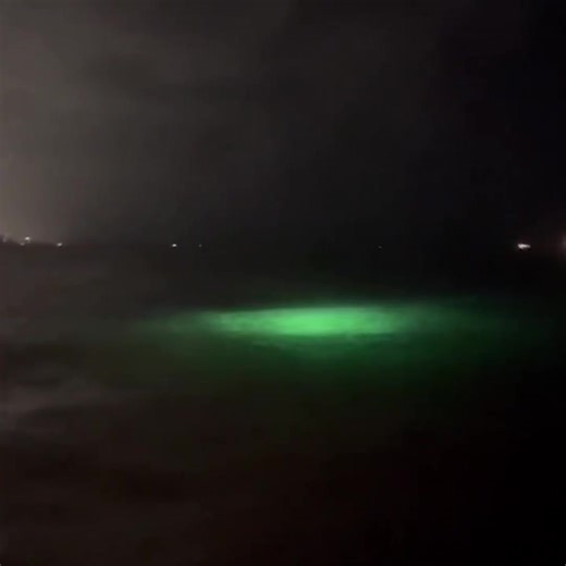 455K views · 5.7K reactions | Thousands of unidentified submerged objects (USOs) have been reported along America’s coastlines. Here is a group of luminous unidentified objects allegedly seen in Fort Lauderdale, Florida. | Disclosure Party | Facebook