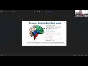 5. Brain State Model