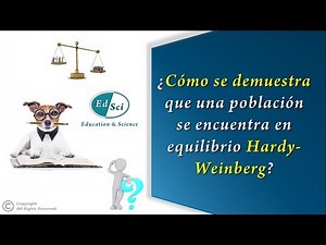 Hardy Weinberg equilibrium across generations ⏳📊