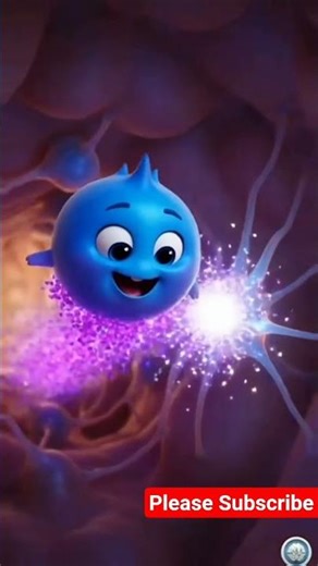 Blood Transfusion Process – Step by Step Medical Procedure Explained