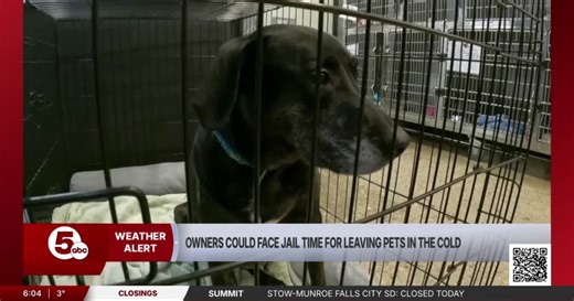 Get your pets indoors, or face criminal charges