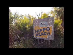 Hippo Safari - at Hippo Beach