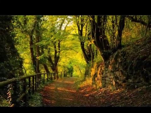 PAISAJES ESPECTACULARES DE AMÉRICA (PAÍSES) (HD)