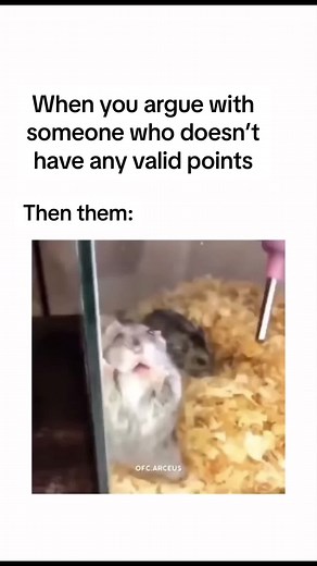This hamster is hysterical! #funny #meme #funnymeme #funnyanimals #funnypets #pets #hamster #laugh #smile #animalsoftiktok #cute #petsoftiktok #petslover #hamstersoftiktok #funnytiktok #hysterical #comedyvideo #comedy