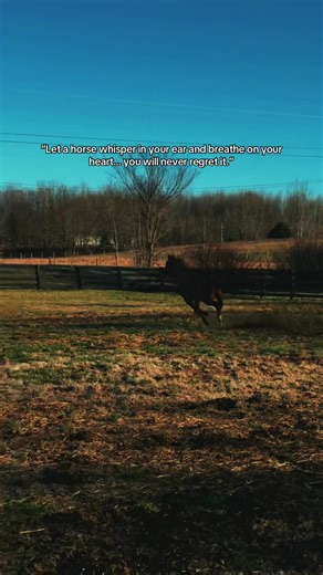 #TikTokCreatorSearchInsightsIncentive #exerciserider #thoroughbred #equestrian #cowgirl